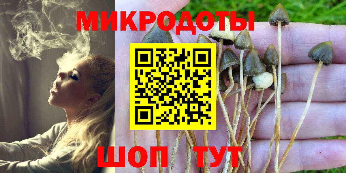 Псилоцибиновые грибы прущие грибы  Вход с VPN  Псилоцибиновые грибы MAGIC MUSHROOMS  Александров 