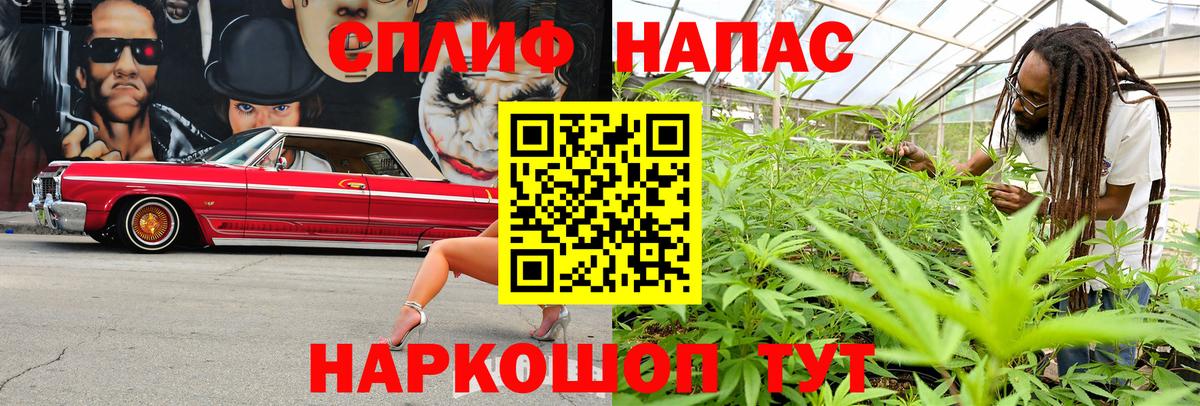 Шишки марихуана LSD WEED  Канабис ГИДРОПОН  Канабис LSD WEED  Александров  Вход с VPN 